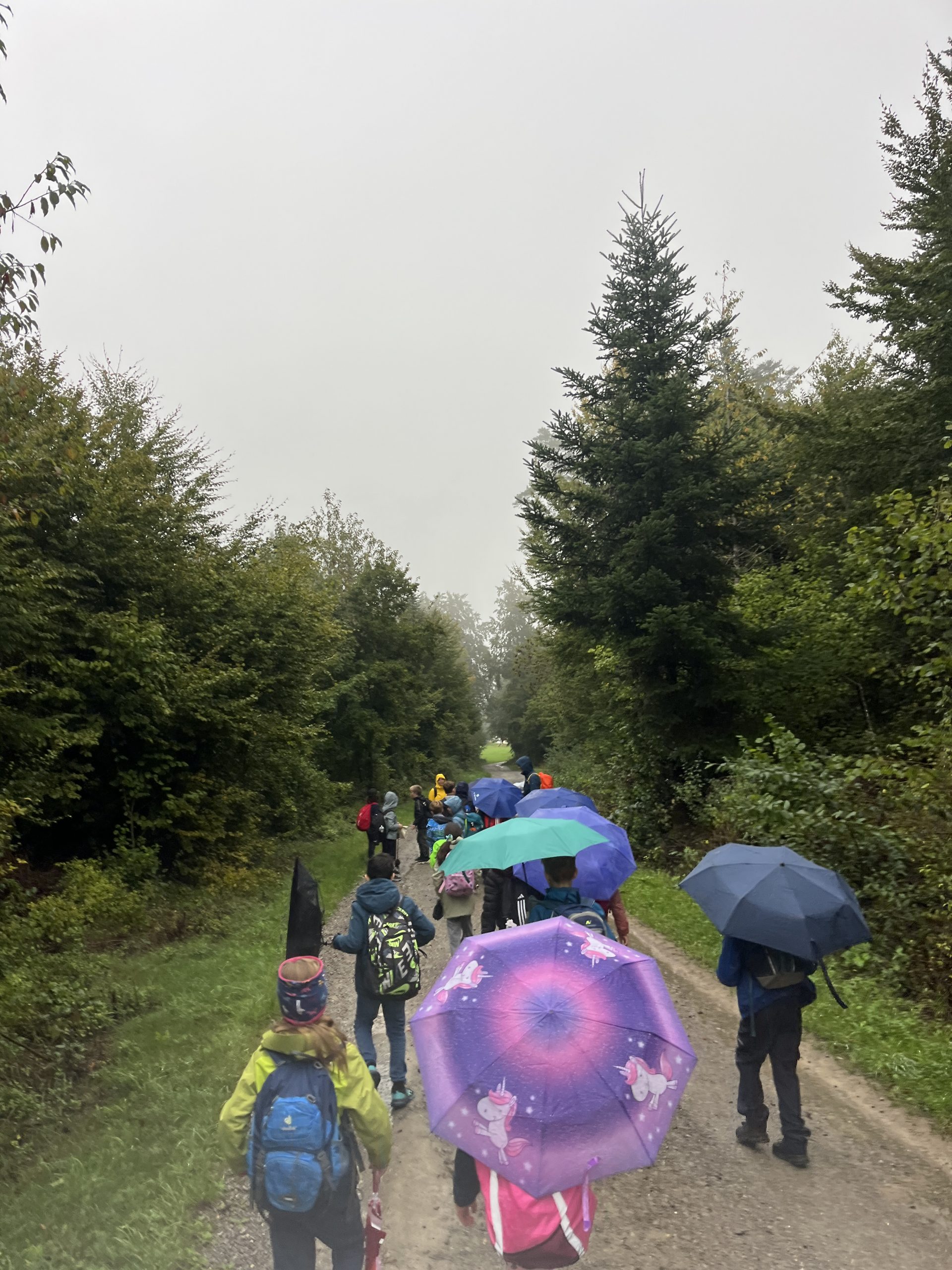 Schullandheim der Klassen 4